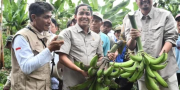 Lumajang Tunjukkan Komitmen Pengelolaan Perhutanan Sosial pada Dunia Internasional