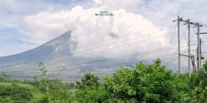 Pemkab Lumajang Terus Pantau Dampak Hujan Abu Akibat Angin Kencang di Gunung Semeru