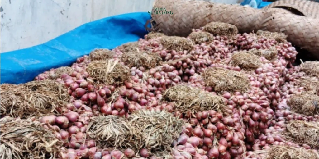 Stok bawang merah yang minim di Pasar Bawang Dringu, Kabupaten Probolinggo ternyata membuat harganya malah semakin turun