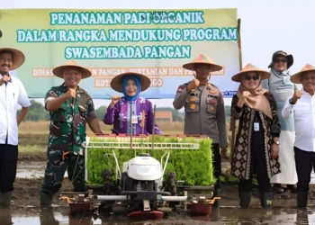 Dinas Ketahanan Pangan, Pertanian, dan Perikanan (DKPPP) Kota Probolinggo melakukan terobosan dan inovasi dengan Padi Organik