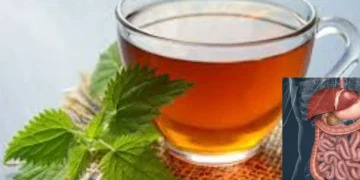 Teh Peppermint adalah salah satu 4 minuman herbal untuk pencernaan