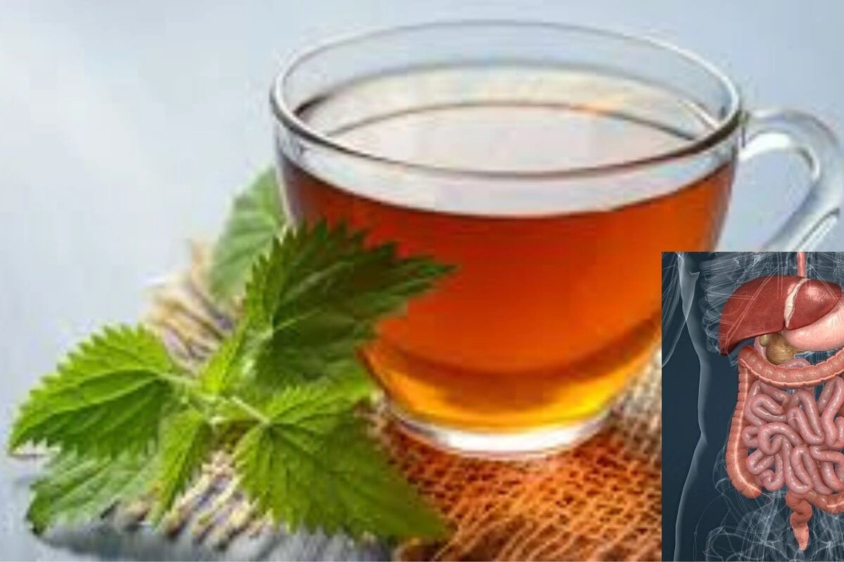 Teh Peppermint adalah salah satu 4 minuman herbal untuk pencernaan