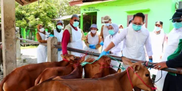 Tetapkan Status Darurat PMK, Pj. Gubernur Jatim Imbau Penanganan Dilakukan Cepat dan Holistik