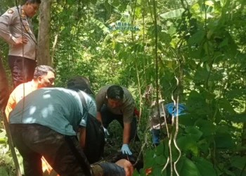 Identitas Mayat di Hutan Kabuh Terungkap, Polisi Buru Pelaku (Media Suaragong)