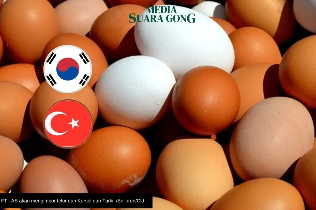 AS Impor Telur Dari Turki Dan Korea Selatan
