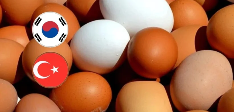 AS bakal impor telur dari Korsel