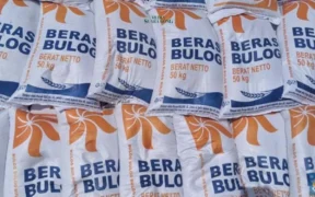 Beras Impor Berkutu Ditemukan di Gudang Bulog Yogyakarta