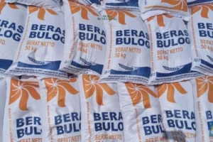 Beras Impor Berkutu Ditemukan di Gudang Bulog Yogyakarta