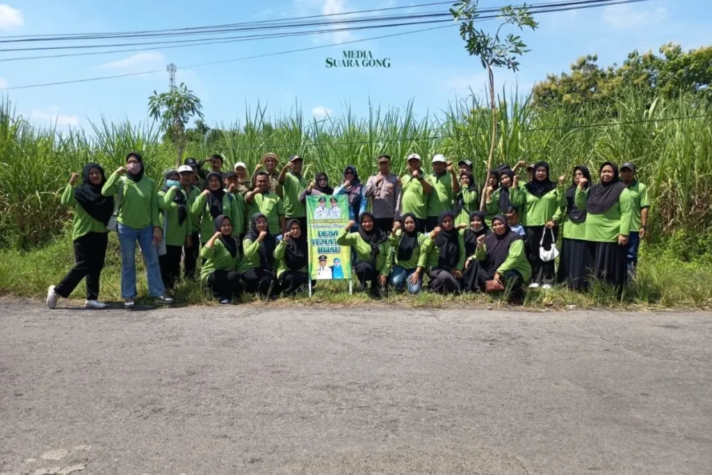 Desa Watuwungkuk di Kabupaten Probolinggo Percantik Diri dengan 200 Pohon Tabebuya