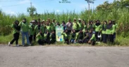 Desa Watuwungkuk di Kabupaten Probolinggo Percantik Diri dengan 200 Pohon Tabebuya