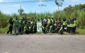 Desa Watuwungkuk di Kabupaten Probolinggo Percantik Diri dengan 200 Pohon Tabebuya