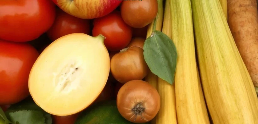 Diet Sehat untuk Usia Pertengahan, Kunci Menuju Penuaan Sehat