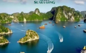 Halong Bay (Sumber: oscvntravel)