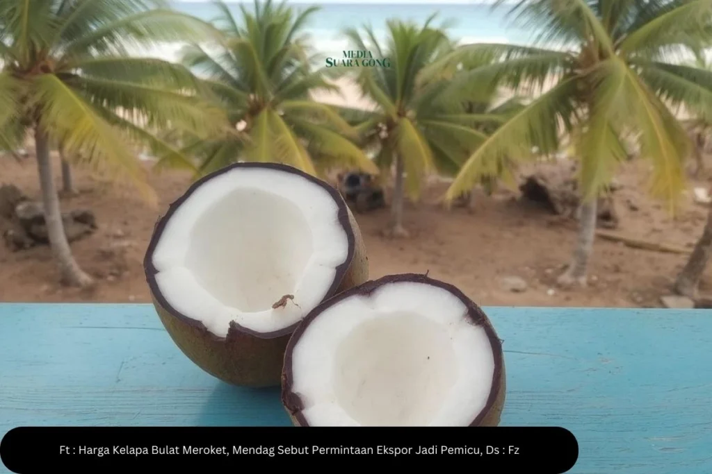 Harga Kelapa Bulat Meroket, Mendag Sebut Permintaan Ekspor Jadi Pemicu