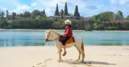 Pantai Ratenggaro di Sumba Barat Daya, Nusa Tenggara Timur