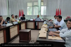 Lelang Tanaman Karet di Perumda Perkebunan Jember Berjalan Sukses