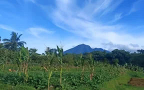 Pamijahan adalah salah satu tempat di kaki Gunung Salak yang menyimpan keindahan luar biasa