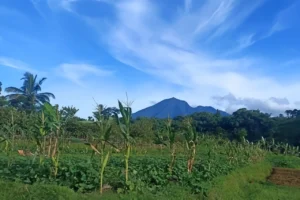 Pamijahan Surga Tersembunyi di Kaki Gunung Salak