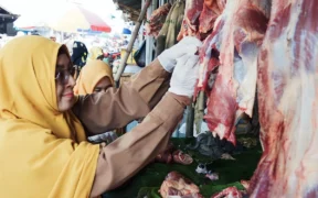Pemkab Lumajang Perketat Pengawasan Pangan Hewan Menjelang Idulfitri 1446 H