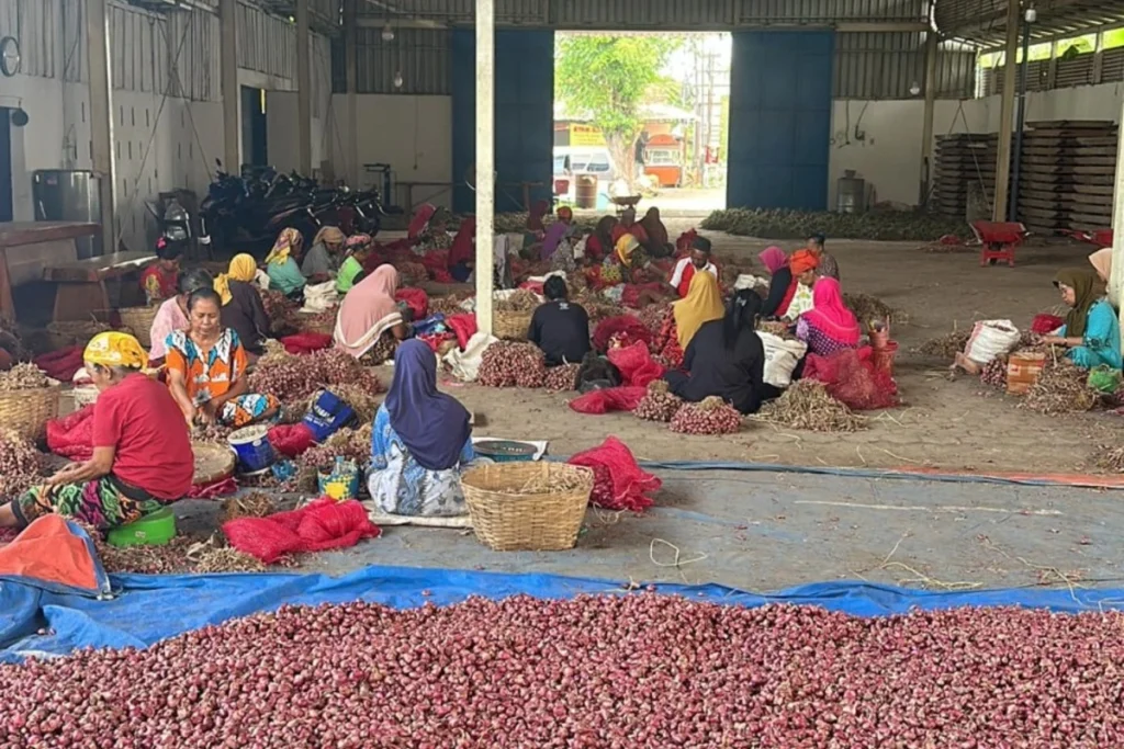Plasi buat pedagang bawang merah menjerit