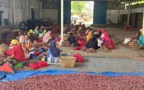 Plasi buat pedagang bawang merah menjerit