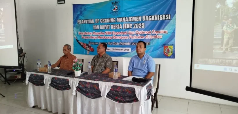 Rapat Koordinasi Jember Koi Club, Dinas Perikanan Siapkan Dukungan