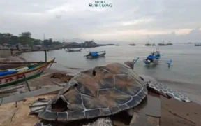 Viral video yang menunjukkan kerusakan patung penyu terbuat dari kardus di kawasan Alun-Alun Gadobangkong, Kabupaten Sukabumi