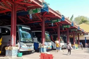 Probolinggo Tak Adakan Mudik Gratis Tahun Ini! Simak Alasannya