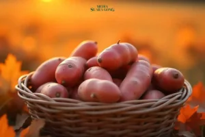 5 Efek Samping Konsumsi Berlebihan Ubi Jalar