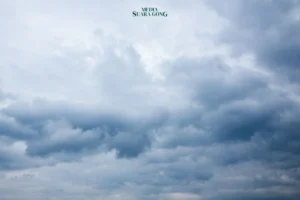 Cuaca Hari Ini: Hujan Ringan Guyur Jawa, Bali, dan Nusa Tenggara