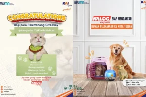 KAI Logistik Sediakan Layanan Pengiriman Hewan Peliharaan Saat Lebaran