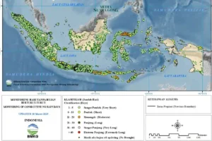 BMKG Ingatkan Potensi Tsunami di Pesisir Indonesia Saat Mudik Lebaran