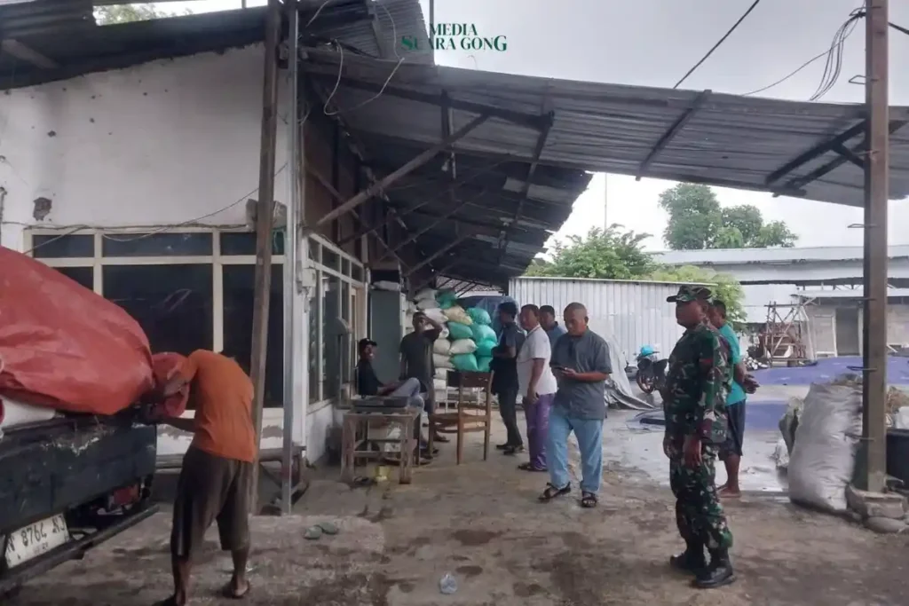 Kodim 0820 Probolinggo Serapan Gabah Petani: Dukung Ketahanan Pangan