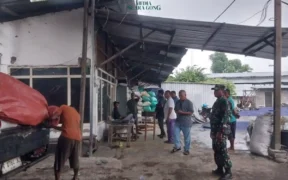Kodim 0820 Probolinggo Serapan Gabah Petani: Dukung Ketahanan Pangan
