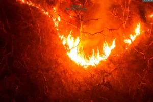 Kebakaran Hutan di Korea Selatan Tewaskan 18 Orang