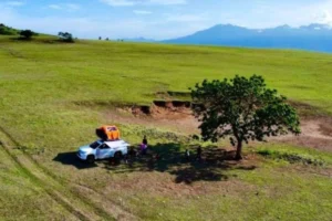 Pesona Wisata Savana Mausui Di Manggarai Timur