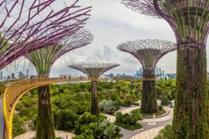 Menjelajahi Gardens by the Bay Di Singapura
