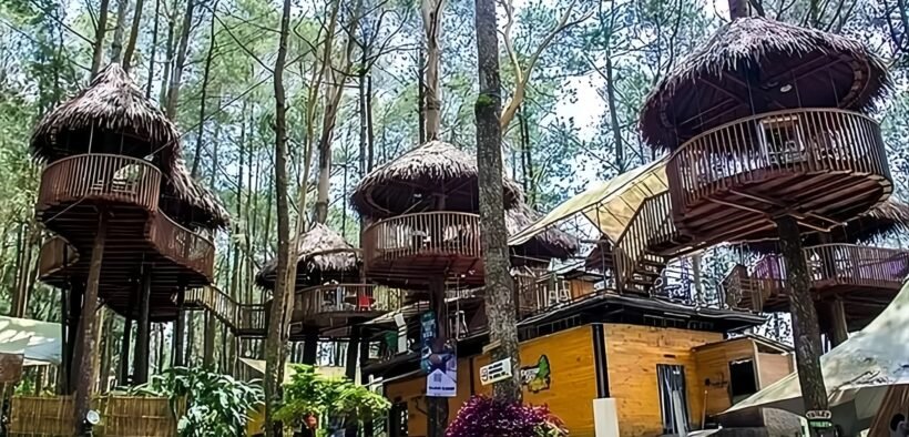 Kopeng Treetop Adventure Park