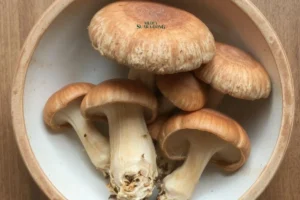 8 Makanan Rahasia Umur Panjang Orang Jepang