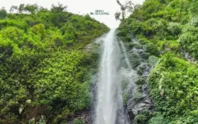 Air Terjun Tancak, Surga Alam Tersembunyi di Jember