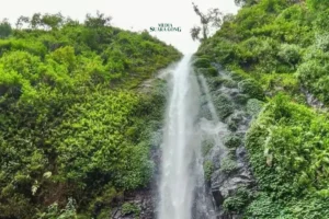 Air Terjun Tancak, Surga Alam Tersembunyi di Jember