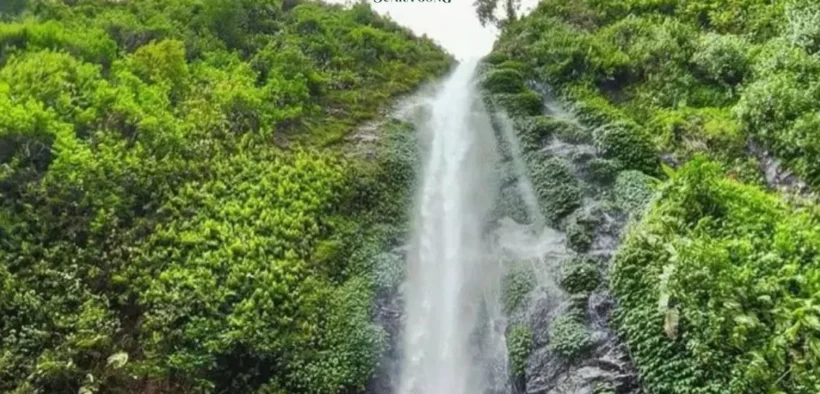 Air Terjun Tancak, Surga Alam Tersembunyi di Jember
