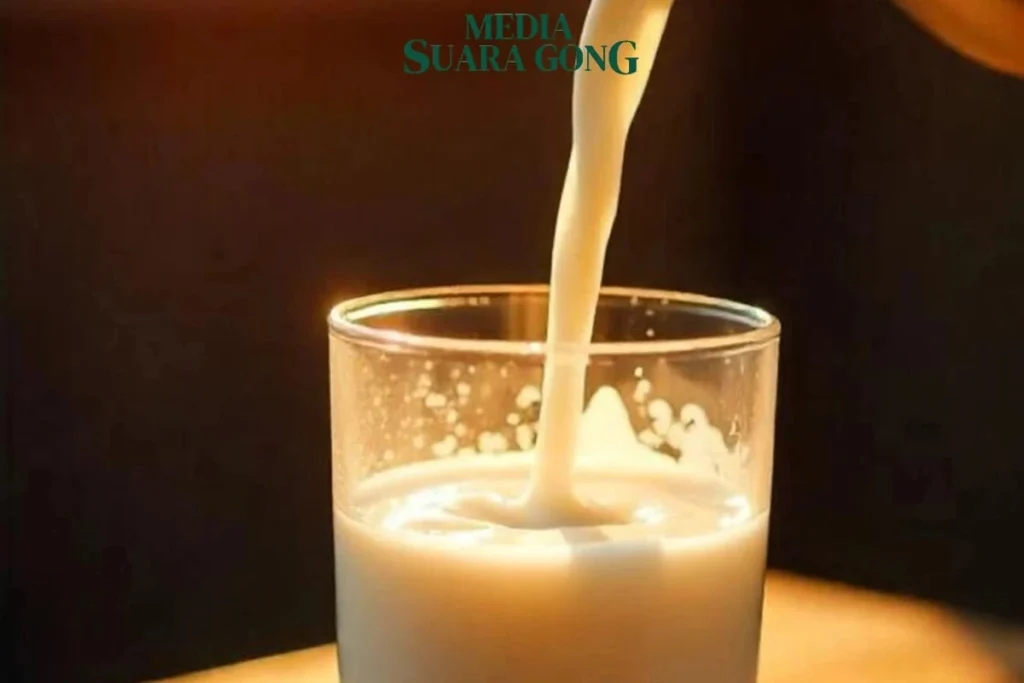 Konsumsi Susu Sapi Manfaat dan Resiko yang Perlu Diperhatikan