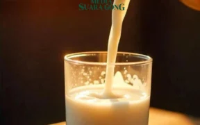 Konsumsi Susu Sapi Manfaat dan Resiko yang Perlu Diperhatikan