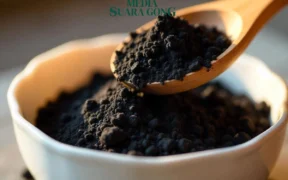 Manfaat charcoal bagi kesehatan tubuh sangatlah banyak (Ilustrasi oleh: Galih)