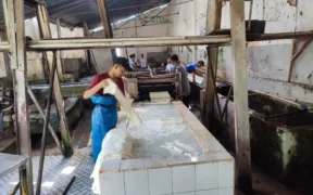 Perumda Perkebunan Kahyangan Jember Evaluasi SDM di Kebun Kalimrawan