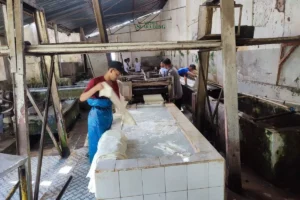 Perumda Perkebunan Kahyangan Jember Evaluasi SDM di Kebun Kalimrawan