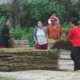 Kabupaten Probolinggo Jaga Harga Tembakau Tetap Stabil