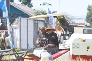 Sentuhan Teknologi Pada Panen Raya Padi di Probolinggo