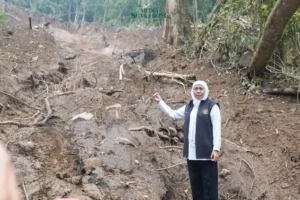 Gubernur Khofifah Tinjau Lokasi Longsor Cangar-Pacet